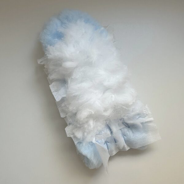 トップバリュ2画像