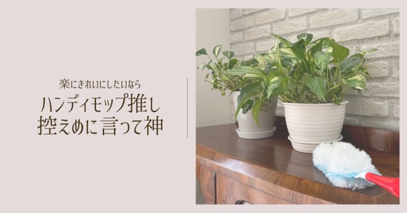 アイキャッチ137画像