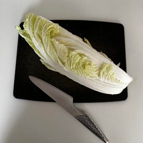 サイズ1画像